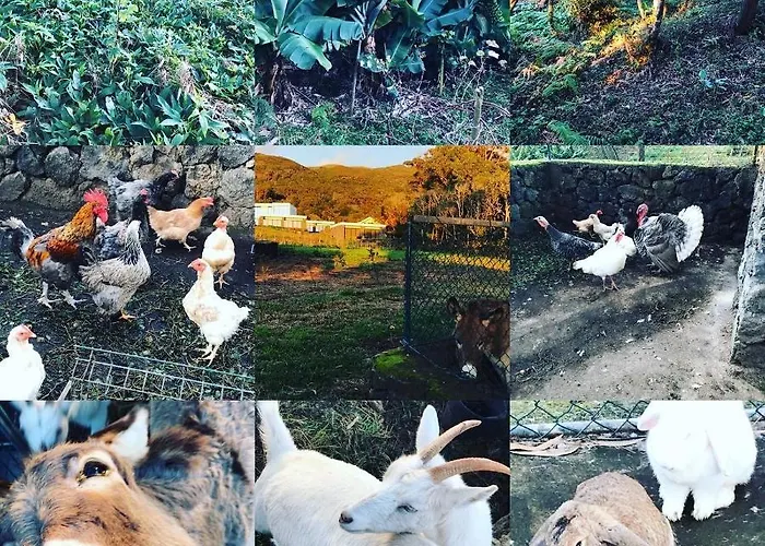 Make It Happen Farm *