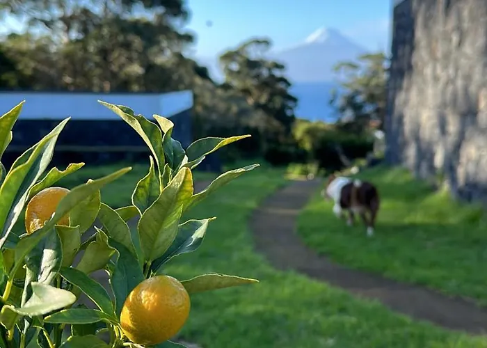 Make It Happen Farm Agroturismo *