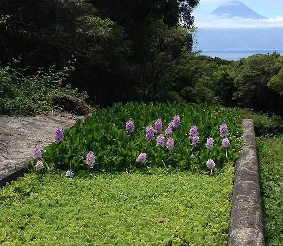 Agroturismo Make It Happen Farm *