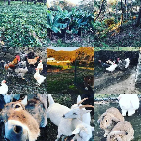 Make It Happen Farm *