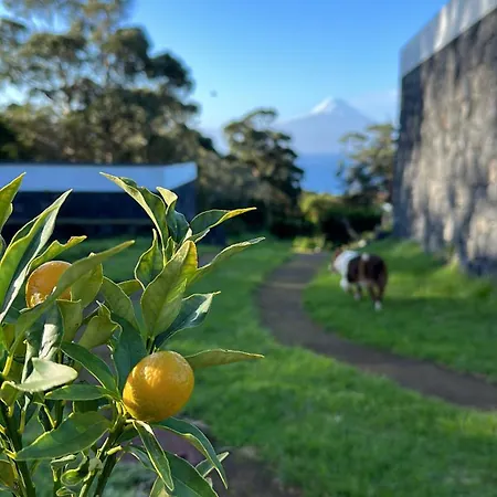 Make It Happen Farm Κατάλυμα σε φάρμα *