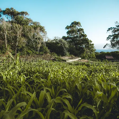 Make It Happen Farm Farm stay *