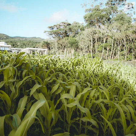 Farm stay Make It Happen Farm