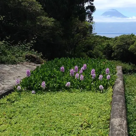 Alojamento de Turismo Rural Make It Happen Farm *