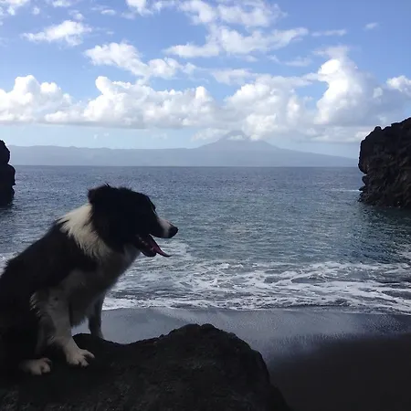 Farmház Make It Happen Farm *