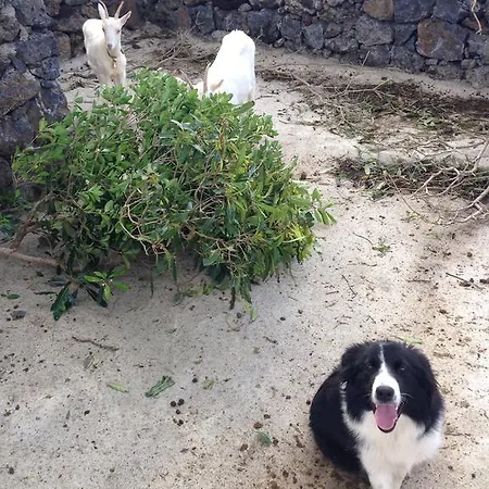 Make It Happen Farm * Urzelina