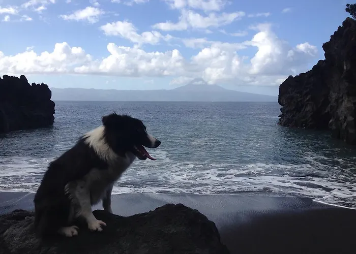 Farm stay Make It Happen Farm *